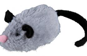 Active Mouse Active Mouse