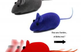 Mini souris à friction Mini souris à friction