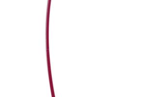 Lanceur de balle Catapult