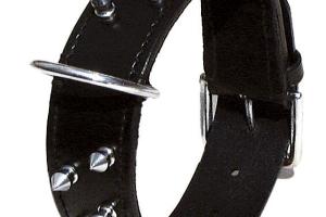 Bobby Collier Chien Cuir Rock Attitude