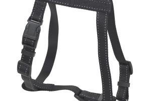 Chapuis Sellerie Harnais Standard Coutures Réfléchissantes Chapuis Sellerie Harnais Standard Coutures Réfléchissantes