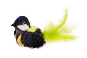 Ferribiella Fuxtreme Oiseau gazouillant Cip-Cip plumes Ferribiella Fuxtreme Oiseau gazouillant Cip-Cip plumes