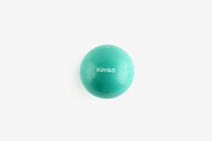 Kimbo Chien Balle pleine Turquoise