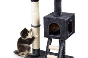 AniOne Arbre à chat avec escalier