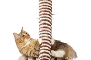 AniOne Arbre à chat Simba