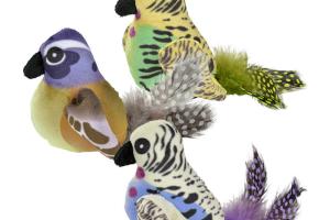 AniOne oiseau avec bruit de gazouillis