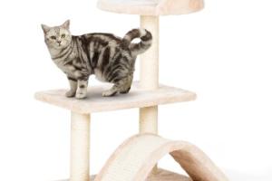 FIT+FUN Arbre à chat beige