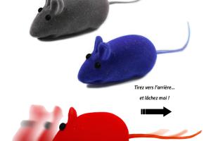 Mini souris à friction