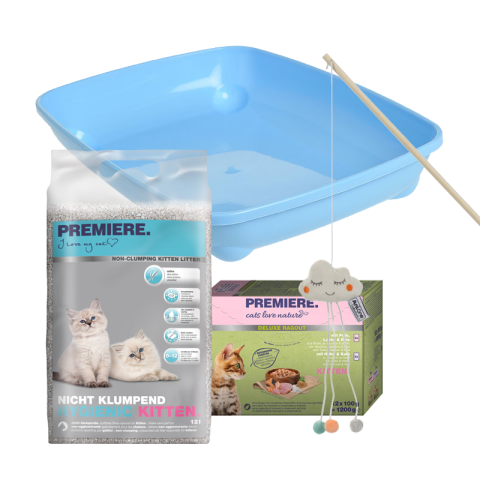 AniOne Kit de démarrage New Kitten Toilet